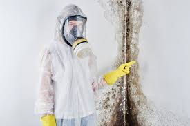 Best Residential Mold Inspection & Testing in Rocklin, CA